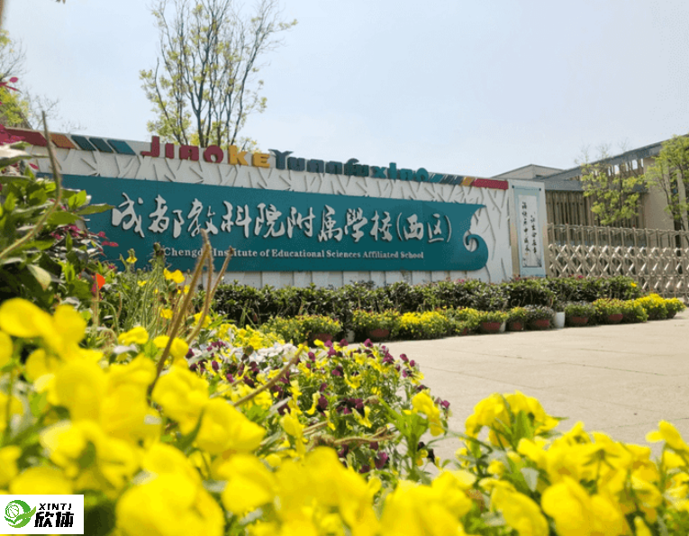 成都高新區(qū)臨江小學(xué)2023年工程改造項目-體育館